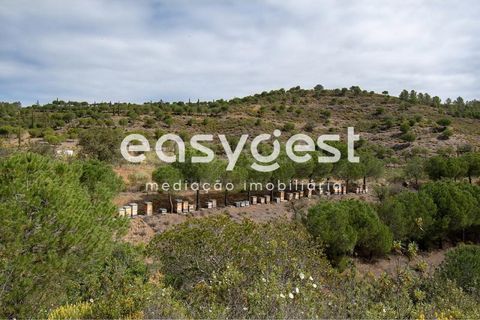 Helårsgrund i Odeleite, Faro, Odeleite - € 650.000 | Ref: AL93087VR - foto 12