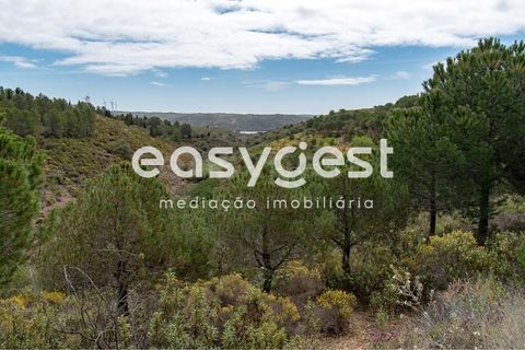 Helårsgrund i Odeleite, Faro, Odeleite - € 650.000 | Ref: AL93087VR - foto 13