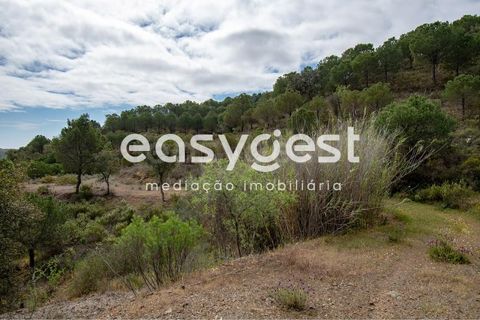 Helårsgrund i Odeleite, Faro, Odeleite - € 650.000 | Ref: AL93087VR - foto 14