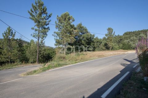 Terra a Arganil, Coimbra, Arganil - € 29.000 | Ref: ZMPT559809 - foto 2