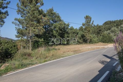 Terra a Arganil, Coimbra, Arganil - € 29.000 | Ref: ZMPT559809 - foto 3