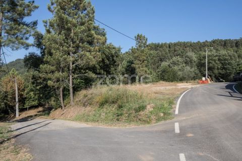 Terra a Arganil, Coimbra, Arganil - € 29.000 | Ref: ZMPT559809 - foto 4