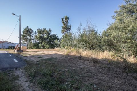 Terra a Arganil, Coimbra, Arganil - € 29.000 | Ref: ZMPT559809 - foto 5