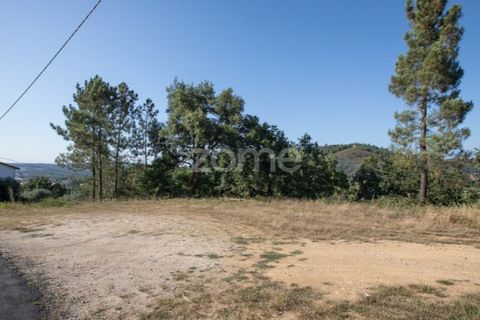 Terra a Arganil, Coimbra, Arganil - € 29.000 | Ref: ZMPT559809 - foto 6