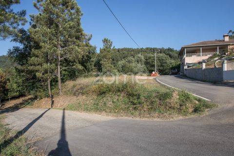 Terra a Arganil, Coimbra, Arganil - € 29.000 | Ref: ZMPT559809 - foto 7