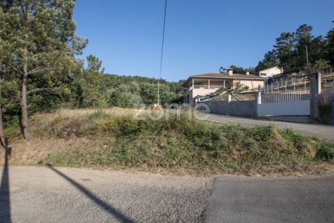 Terra a Arganil, Coimbra, Arganil - € 29.000 | Ref: ZMPT559809 - foto 8