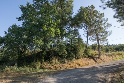 Terra a Arganil, Coimbra, Arganil - € 29.000 | Ref: ZMPT559809 - foto 9