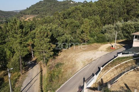 Terra a Arganil, Coimbra, Arganil - € 29.000 | Ref: ZMPT559809 - foto 10