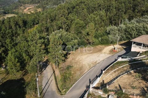 Terra a Arganil, Coimbra, Arganil - € 29.000 | Ref: ZMPT559809 - foto 11