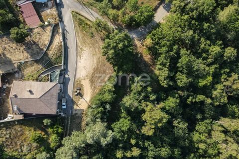 Terra a Arganil, Coimbra, Arganil - € 29.000 | Ref: ZMPT559809 - foto 13