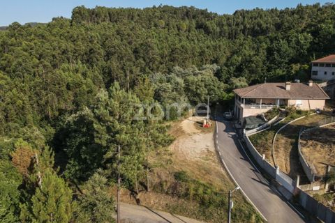 Terra a Arganil, Coimbra, Arganil - € 29.000 | Ref: ZMPT559809 - foto 16