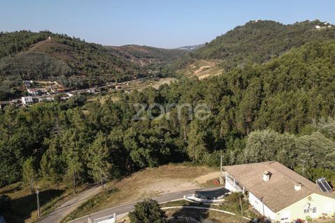 Terra a Arganil, Coimbra, Arganil - € 29.000 | Ref: ZMPT559809 - foto 17