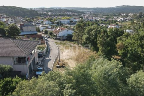 Terra a Arganil, Coimbra, Arganil - € 29.000 | Ref: ZMPT559809 - foto 20