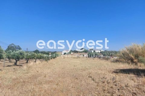 Helårsgrund i Beja, Beja, Beja - € 299.000 | Ref: BJ93099 - foto 1