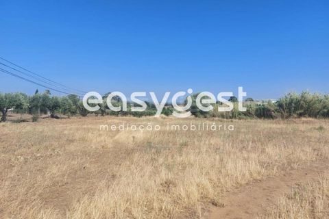Helårsgrund i Beja, Beja, Beja - € 299.000 | Ref: BJ93099 - foto 5