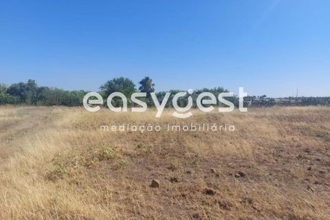 Helårsgrund i Beja, Beja, Beja - € 299.000 | Ref: BJ93099 - foto 6