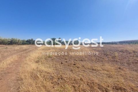 Helårsgrund i Beja, Beja, Beja - € 299.000 | Ref: BJ93099 - foto 7