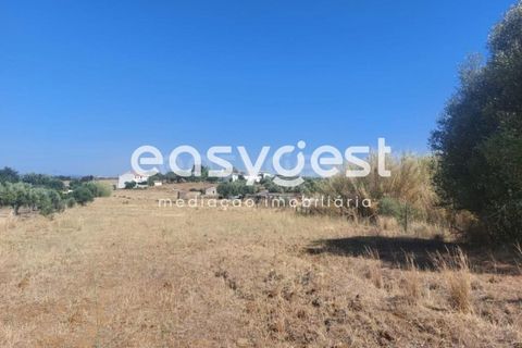 Helårsgrund i Beja, Beja, Beja - € 299.000 | Ref: BJ93099 - foto 10