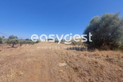 Helårsgrund i Beja, Beja, Beja - € 299.000 | Ref: BJ93099 - foto 11