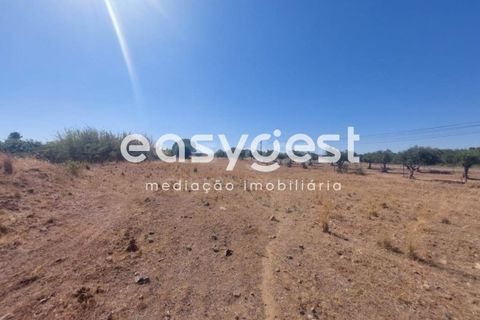 Helårsgrund i Beja, Beja, Beja - € 299.000 | Ref: BJ93099 - foto 12