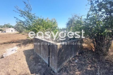 Helårsgrund i Beja, Beja, Beja - € 299.000 | Ref: BJ93099 - foto 13