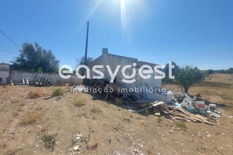 Helårsgrund i Beja, Beja, Beja - € 299.000 | Ref: BJ93099 - foto 19