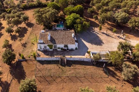 Farm i Evora, Evora, Evora - € 1.300.000 | Ref: 2343 - foto 6