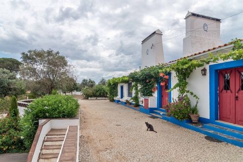 Farm i Evora, Evora, Evora - € 1.300.000 | Ref: 2343 - foto 3