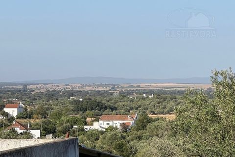 Farm i Evora, Evora, Evora - € 1.300.000 | Ref: 2343 - foto 17
