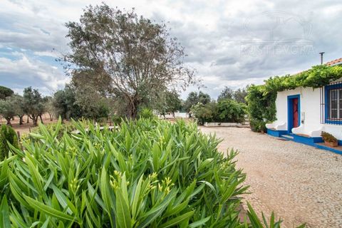 Farm i Evora, Evora, Evora - € 1.300.000 | Ref: 2343 - foto 24
