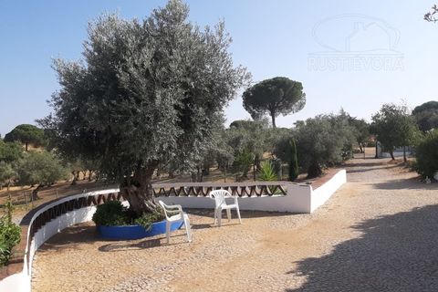 Farm i Evora, Evora, Evora - € 1.300.000 | Ref: 2343 - foto 25