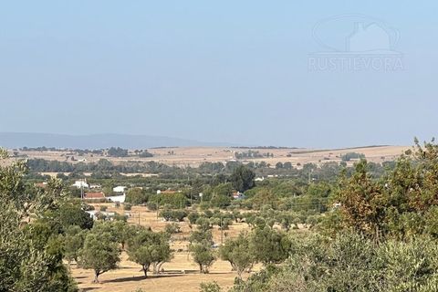 Farm i Evora, Evora, Evora - € 1.300.000 | Ref: 2343 - foto 41