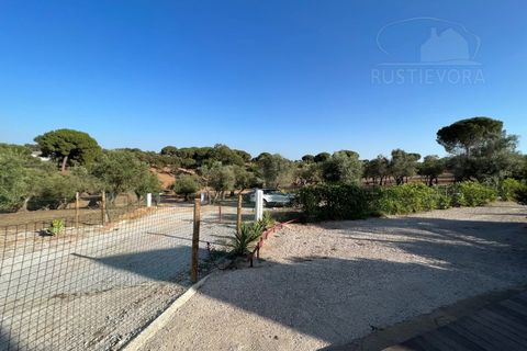 Farm i Evora, Evora, Evora - € 1.300.000 | Ref: 2343 - foto 42