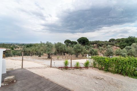 Farm i Evora, Evora, Evora - € 1.300.000 | Ref: 2343 - foto 43
