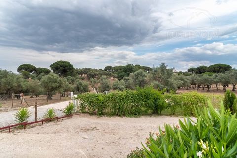 Farm i Evora, Evora, Evora - € 1.300.000 | Ref: 2343 - foto 45