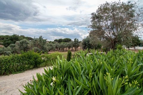 Farm i Evora, Evora, Evora - € 1.300.000 | Ref: 2343 - foto 46