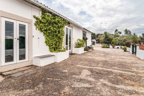 Farm i Evora, Evora, Evora - € 1.300.000 | Ref: 2343 - foto 8