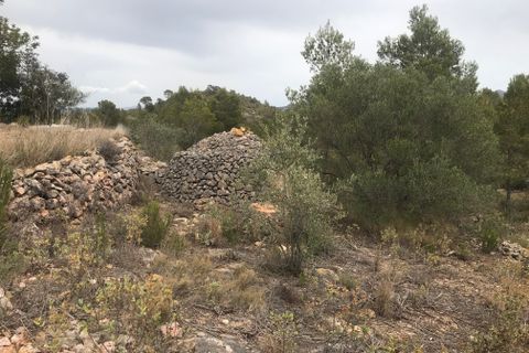 Finca i Benifallet, Tarragona, Benifallet - € 29 000 | Ref: At - foto 6