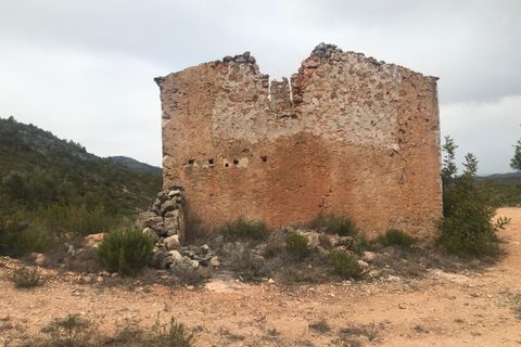 Finca i Benifallet, Tarragona, Benifallet - € 29 000 | Ref: At - foto 8