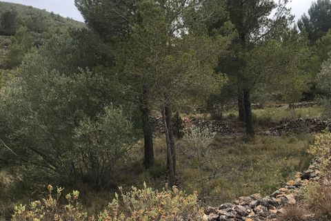 Finca i Benifallet, Tarragona, Benifallet - € 29 000 | Ref: At - foto 14