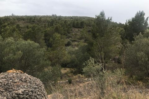 Finca i Benifallet, Tarragona, Benifallet - € 29 000 | Ref: At - foto 10