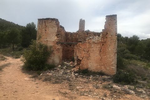 Finca i Benifallet, Tarragona, Benifallet - € 29 000 | Ref: At - foto 12