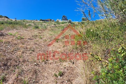 Helårsgrund i Matacaes, Lisbon, Matacaes - € 90.000 | Ref: M3194 TVD - foto 22