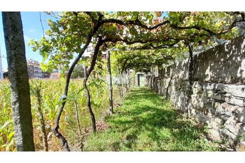 Helårsgrund i Viana do Castelo, Viana do Castelo, Viana do Castelo - € 1.200.000 | Ref: VCC14157 - foto 2