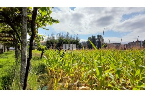 Helårsgrund i Viana do Castelo, Viana do Castelo, Viana do Castelo - € 1.200.000 | Ref: VCC14157 - foto 3