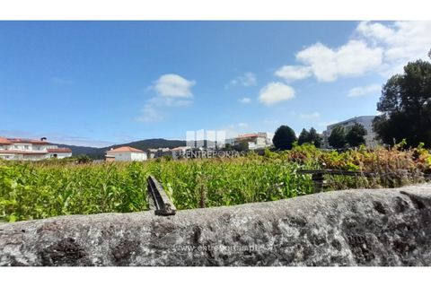 Helårsgrund i Viana do Castelo, Viana do Castelo, Viana do Castelo - € 1.200.000 | Ref: VCC14157 - foto 5