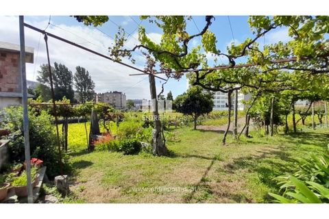 Helårsgrund i Viana do Castelo, Viana do Castelo, Viana do Castelo - € 1.200.000 | Ref: VCC14157 - foto 24