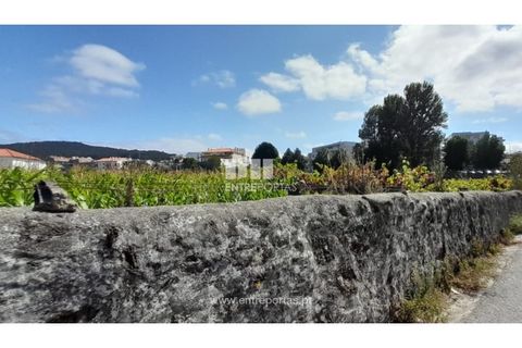 Helårsgrund i Viana do Castelo, Viana do Castelo, Viana do Castelo - € 1.200.000 | Ref: VCC14157 - foto 30