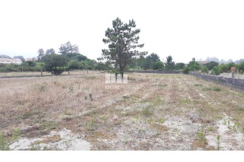 Helårsgrund i Viana do Castelo, Viana do Castelo, Viana do Castelo - € 213.000 | Ref: VCC14150 - foto 11
