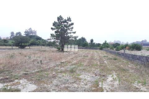Helårsgrund i Viana do Castelo, Viana do Castelo, Viana do Castelo - € 213.000 | Ref: VCC14150 - foto 25